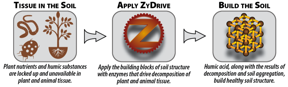 ZyDrive Application