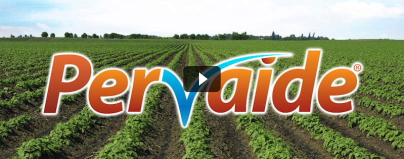 Pervaide Video